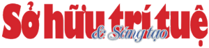 Bao-so-huu-tri-tue