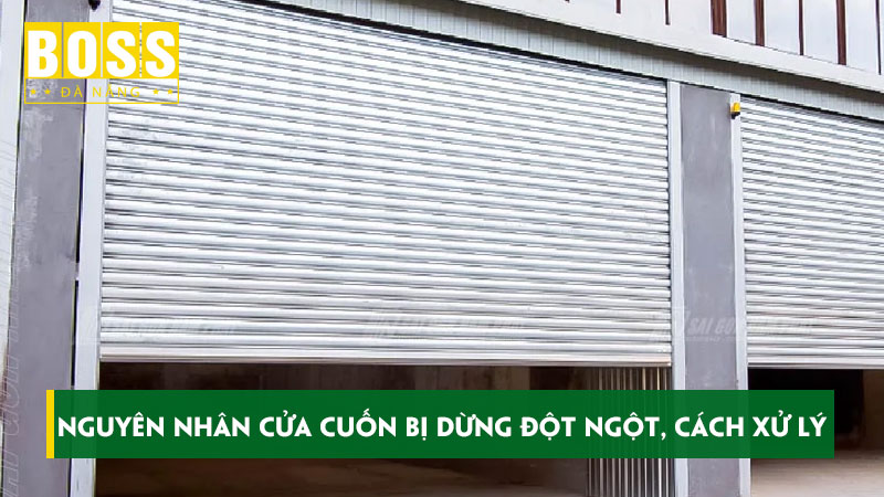 Nguyen-nhan-cua-cuon-bi-dung-dot-ngot-va-cach-xu-ly-hieu-qua-bossdoordanang