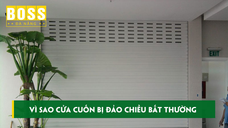 Vi-sao-cua-cuon-bi-dao-chieu-bat-thuong-va-cach-khac-phuc-bossdoordanang