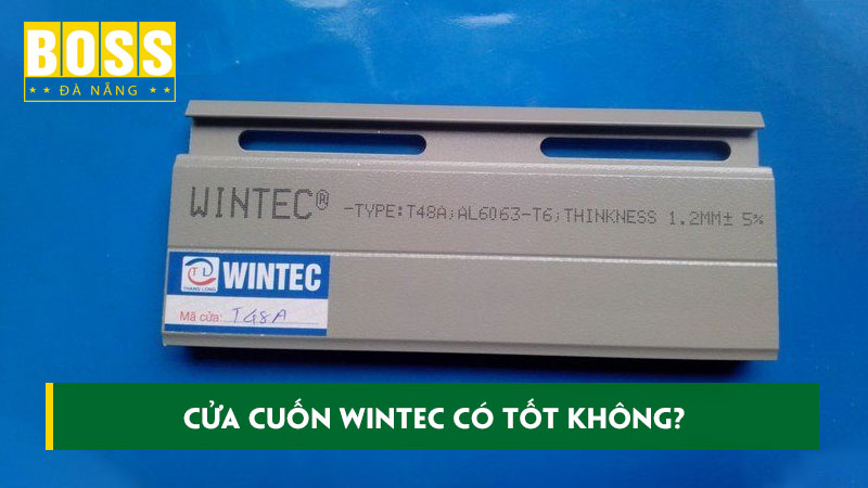 Cua-cuon-wintec-co-tot-khong-kham-pha-nhung-dac-diem-noi-bat-bossdoordanang